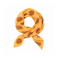 Foulard Adulte Lion Biscuit 100 cm - 1