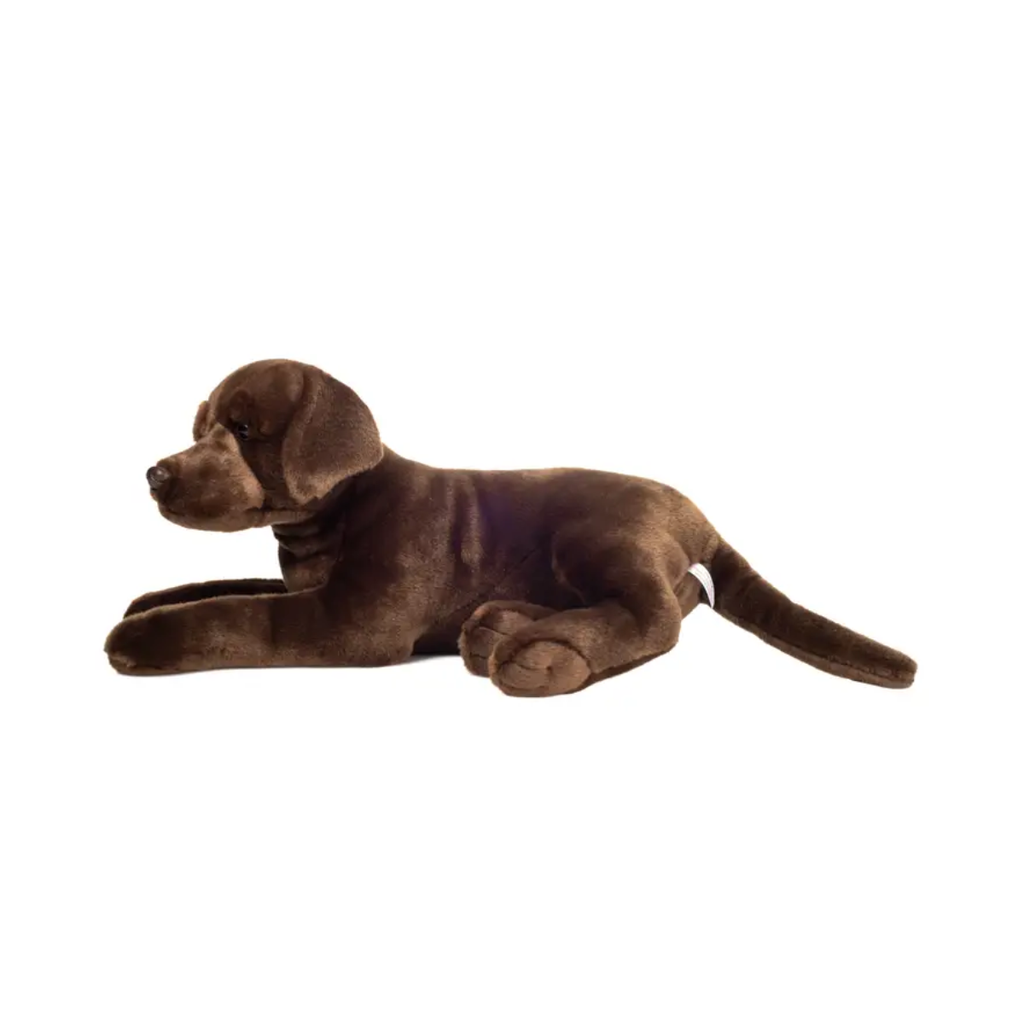 Peluche Labrador Marron Chocolat Couché - 2