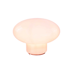Lampe Ovalie - Verre Rose - 2