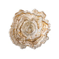 Assiette creuse / Bol Asimi en verre - 1